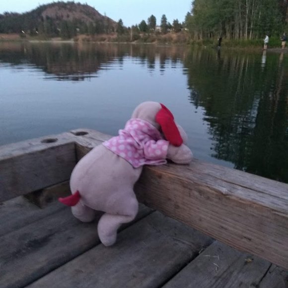 ISO NFS Pink puppy stuffie with red ears *** NFS Do not buy - Picture 4 of 4